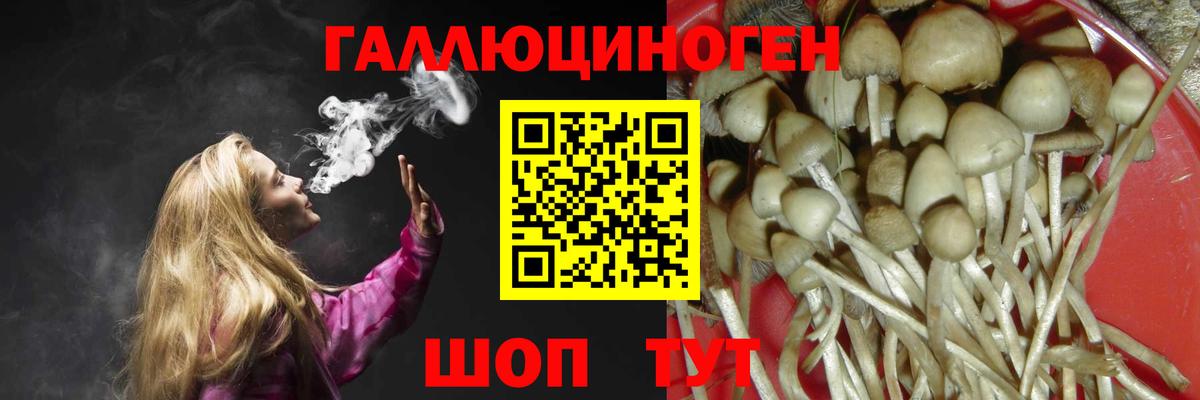 Галлюциногенные грибы Magic Shrooms  Вход с VPN  закладка  Десногорск 